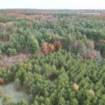 Property photo for land for sale in Waushara County Wisconsin