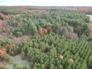 Property photo for land for sale in Waushara County Wisconsin