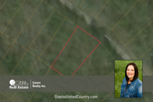 Property photo for land for sale in Taney County Missouri