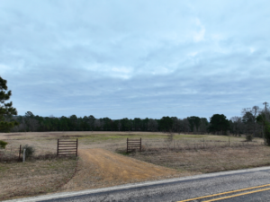 Property photo for land for sale in Cass County Texas