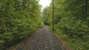 Property photo for land for sale in Pittsylvania County Virginia