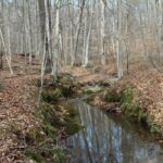 Property photo for land for sale in Culpeper County Virginia