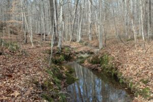 Property photo for land for sale in Culpeper County Virginia