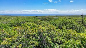 Property photo for land for sale in Hawaii County Hawaii