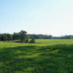 Property photo for land for sale in Pike County Mississippi