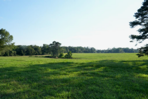 Property photo for land for sale in Pike County Mississippi