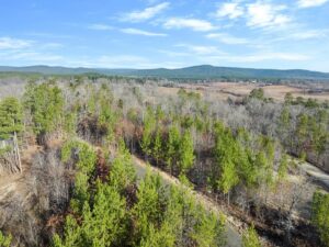 Property photo for land for sale in Le Flore County Oklahoma