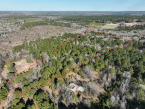 Property photo for land for sale in Cass County Texas