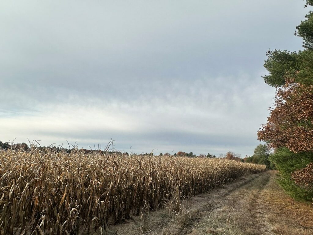 Property photo for land for sale in Waushara County Wisconsin