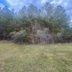 Property photo for land for sale in Copiah County Mississippi