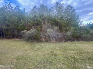 Property photo for land for sale in Copiah County Mississippi