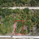 Property photo for land for sale in Levy County Florida