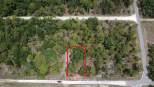 Property photo for land for sale in Levy County Florida