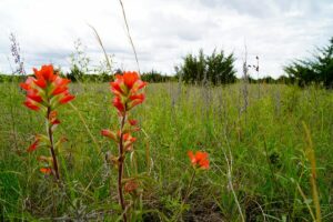 Property photo for land for sale in Lincoln County Oklahoma