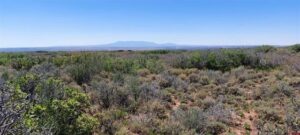 Property photo for land for sale in Dolores County Colorado