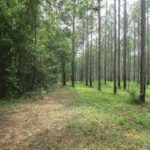 Property photo for land for sale in Jefferson County Florida