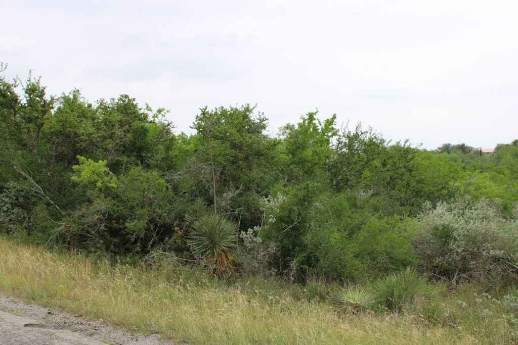 Property photo for land for sale in Live Oak County Texas