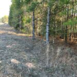 Property photo for land for sale in Crenshaw County Alabama