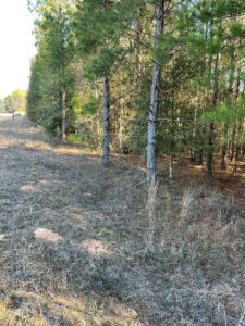 Property photo for land for sale in Crenshaw County Alabama