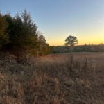 Property photo for land for sale in Pushmataha County Oklahoma