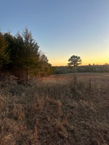 Property photo for land for sale in Pushmataha County Oklahoma