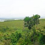 Property photo for land for sale in  County Panama