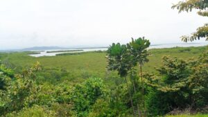 Property photo for land for sale in  County Panama