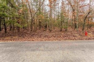 Property photo for land for sale in Fulton County Arkansas