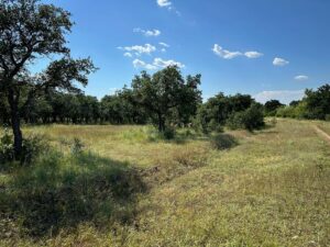 Property photo for land for sale in Brown County Texas