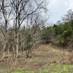 Property photo for land for sale in Grainger County Tennessee