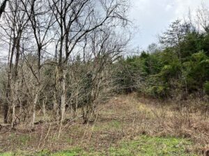 Property photo for land for sale in Grainger County Tennessee