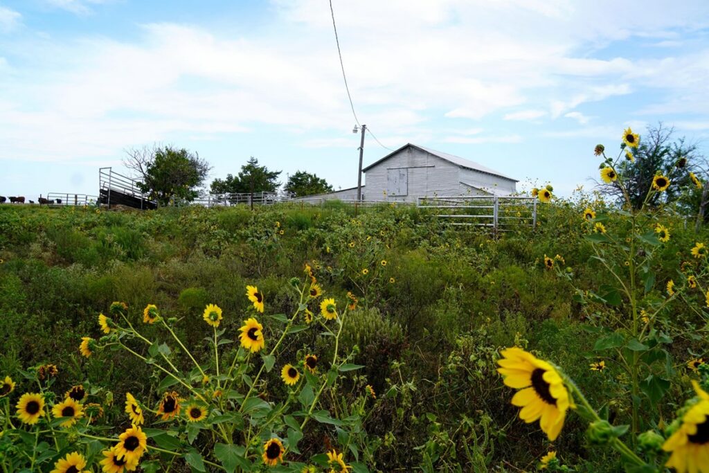 Property photo for land for sale in Lincoln County Oklahoma