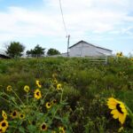 Property photo for land for sale in Lincoln County Oklahoma