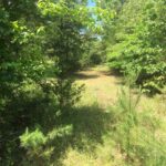 Property photo for land for sale in Izard County Arkansas