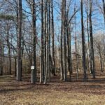 Property photo for land for sale in Beaufort County North Carolina