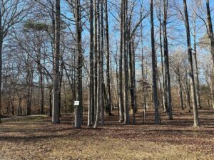 Property photo for land for sale in Beaufort County North Carolina