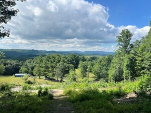 Property photo for land for sale in Montgomery County Virginia