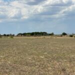 Property photo for land for sale in Wilson County Texas