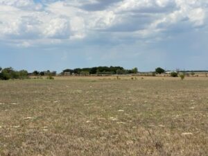 Property photo for land for sale in Wilson County Texas