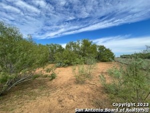 Property photo for land for sale in Atascosa County Texas