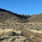 Property photo for land for sale in Harney County Oregon