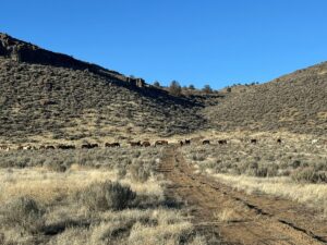 Property photo for land for sale in Harney County Oregon