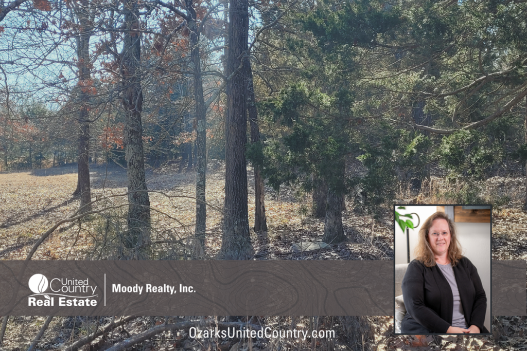 Property photo for land for sale in Fulton County Arkansas