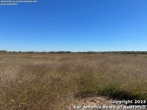 Property photo for land for sale in Atascosa County Texas