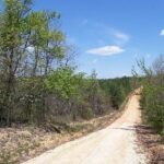 Property photo for land for sale in Wayne County Tennessee