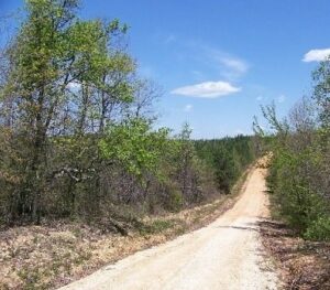 Property photo for land for sale in Wayne County Tennessee