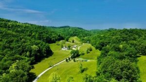 Property photo for land for sale in Lawrence County Kentucky