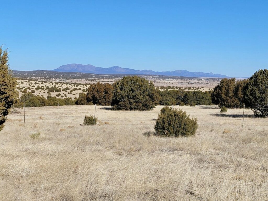 Property photo for land for sale in Torrance County New Mexico