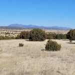 Property photo for land for sale in Torrance County New Mexico