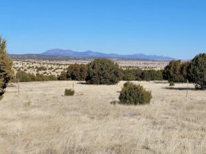 Property photo for land for sale in Torrance County New Mexico